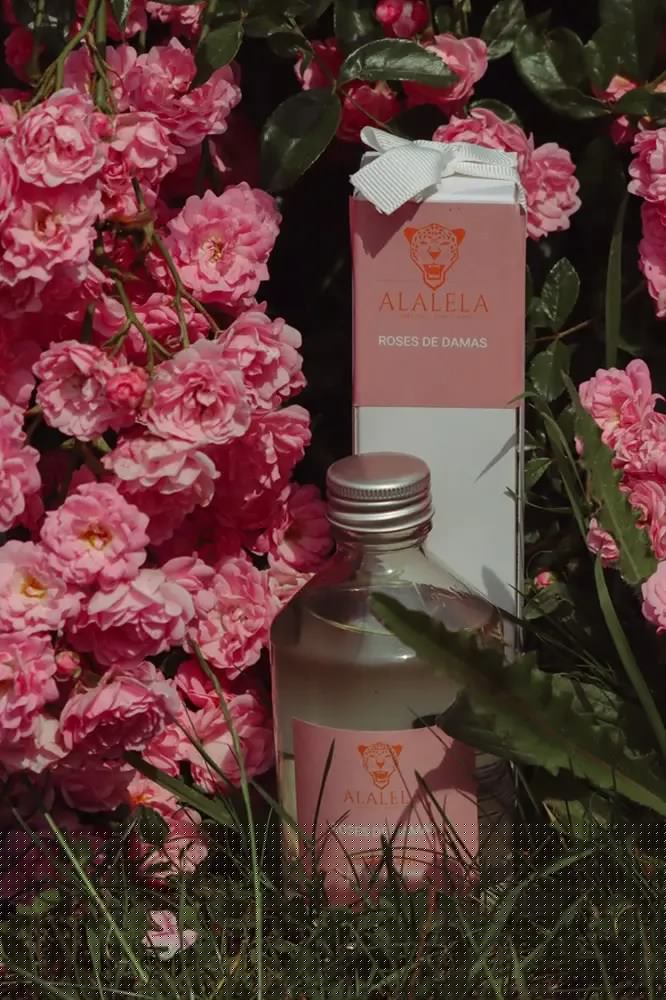 Damask rose Refill reed diffuser (200 ml)